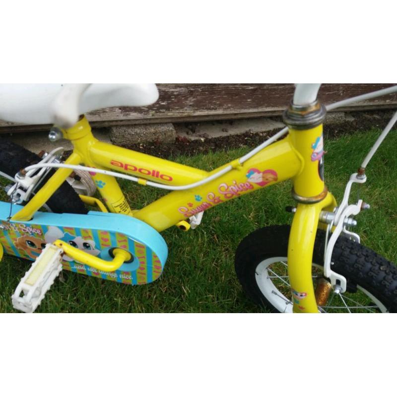 Girls 10 inch bike