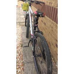 GT Avalanche 1.0 Gents Mountain bike, MTB size L