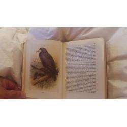 Bird books