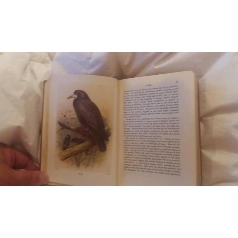 Bird books