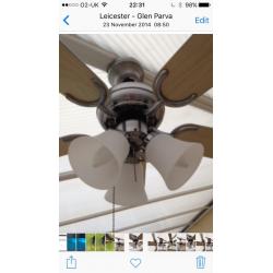 Ceiling fan Fantasia 5 arn