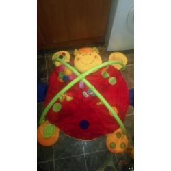 Lottie Ladybird play mat with activity arches & toys