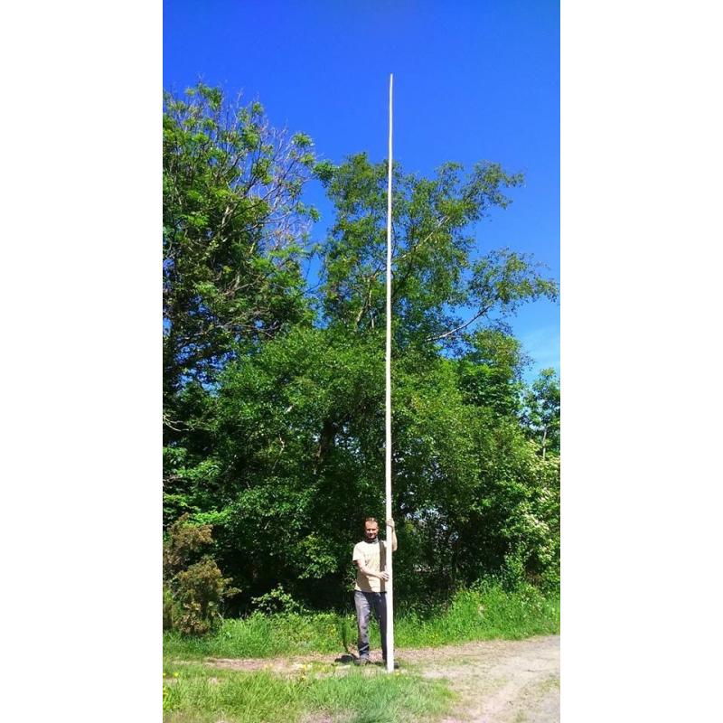 Tipi Poles for sale