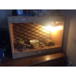 Corn snake and full set up