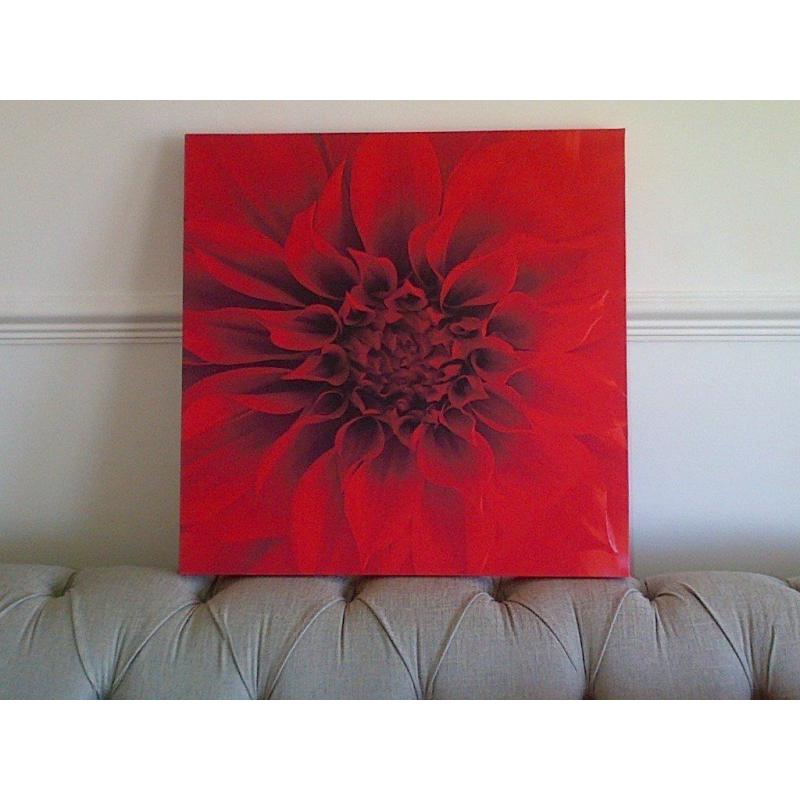 Large Red Flower Print