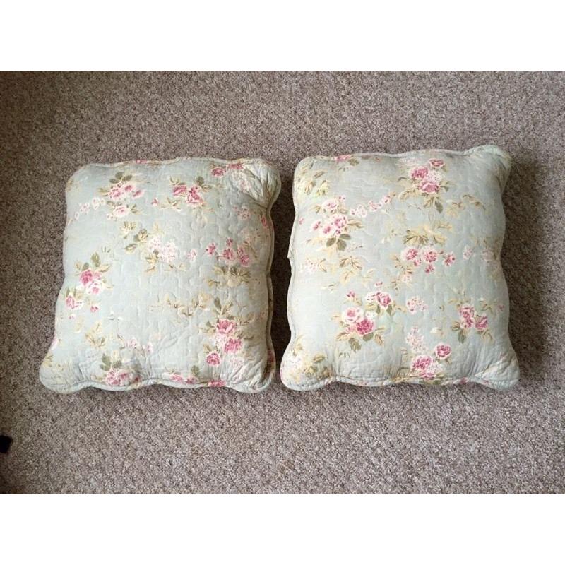 Two light blue scatter cushions