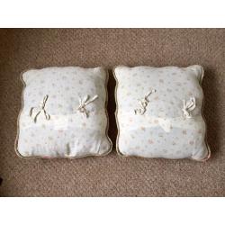 Two light blue scatter cushions