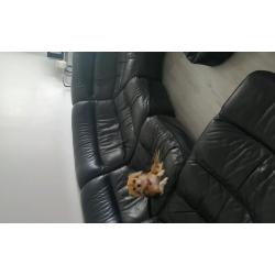 Black leather dfs