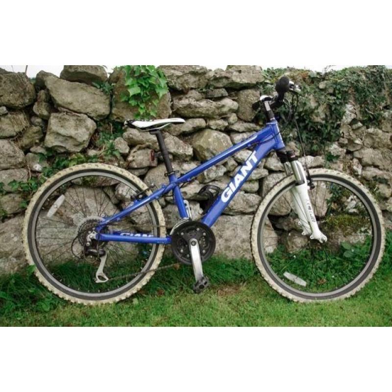 Giant XTC Junior mountain bike (24” wheel)