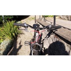 Child's Ridgeback MX24 Terrain Mountain Bike