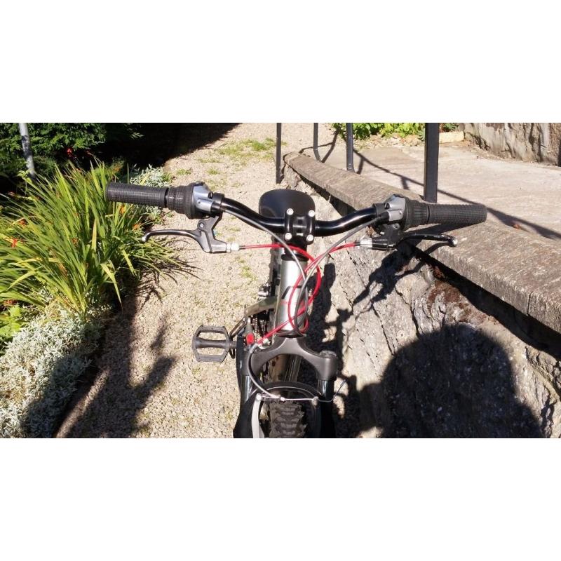 Child's Ridgeback MX24 Terrain Mountain Bike